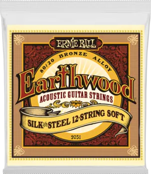 Ernie Ball 2051 Earthwood Silk & Steel 12