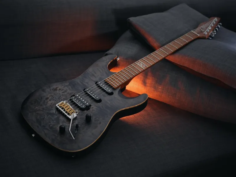 Chapman Guitars ML1 Pro X Lunar Burl 10th Anniversary Elektromos gitár