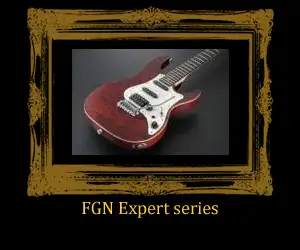 FGN Instruments