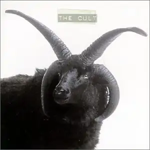 The Cult: The Cult - Shock!