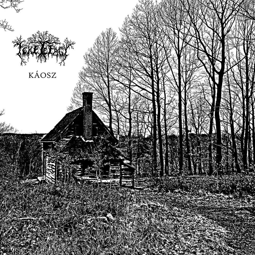 Feketefagy - Megjelent az első lemezük