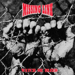 Missing Link - New York Minute - lemezelőzetes dal