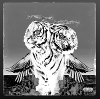 ÁcsPongó Barnabás