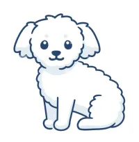 Rochy