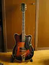 Migma Semihollow csere is Jazzgitarre [October 25, 2010, 12:46 pm]