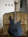 Caparison Horus HGS Electric guitar [October 22, 2010, 10:20 pm]