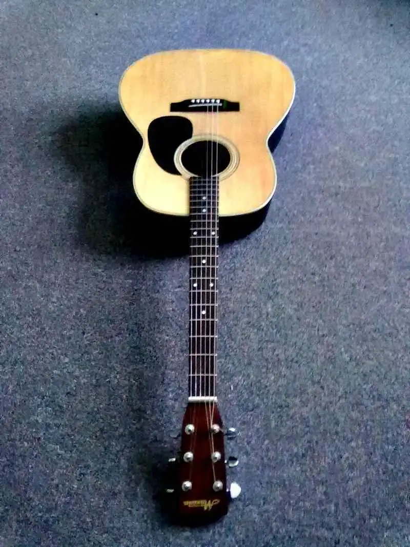  100E Electro-acoustic guitar