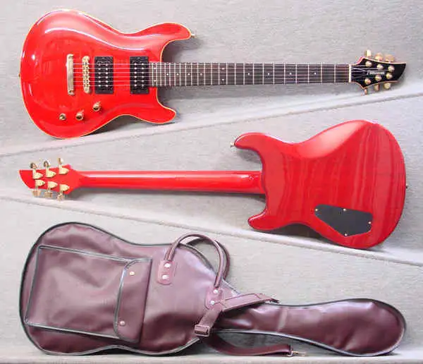 Fernandes APG-100 Electric guitar for sale | GS Fanatic
