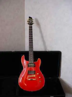 Fernandes APG-100 Electric guitar for sale | GS Fanatic