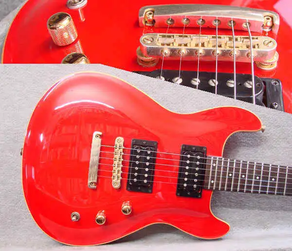 Fernandes APG-100 Electric guitar for sale | GS Fanatic