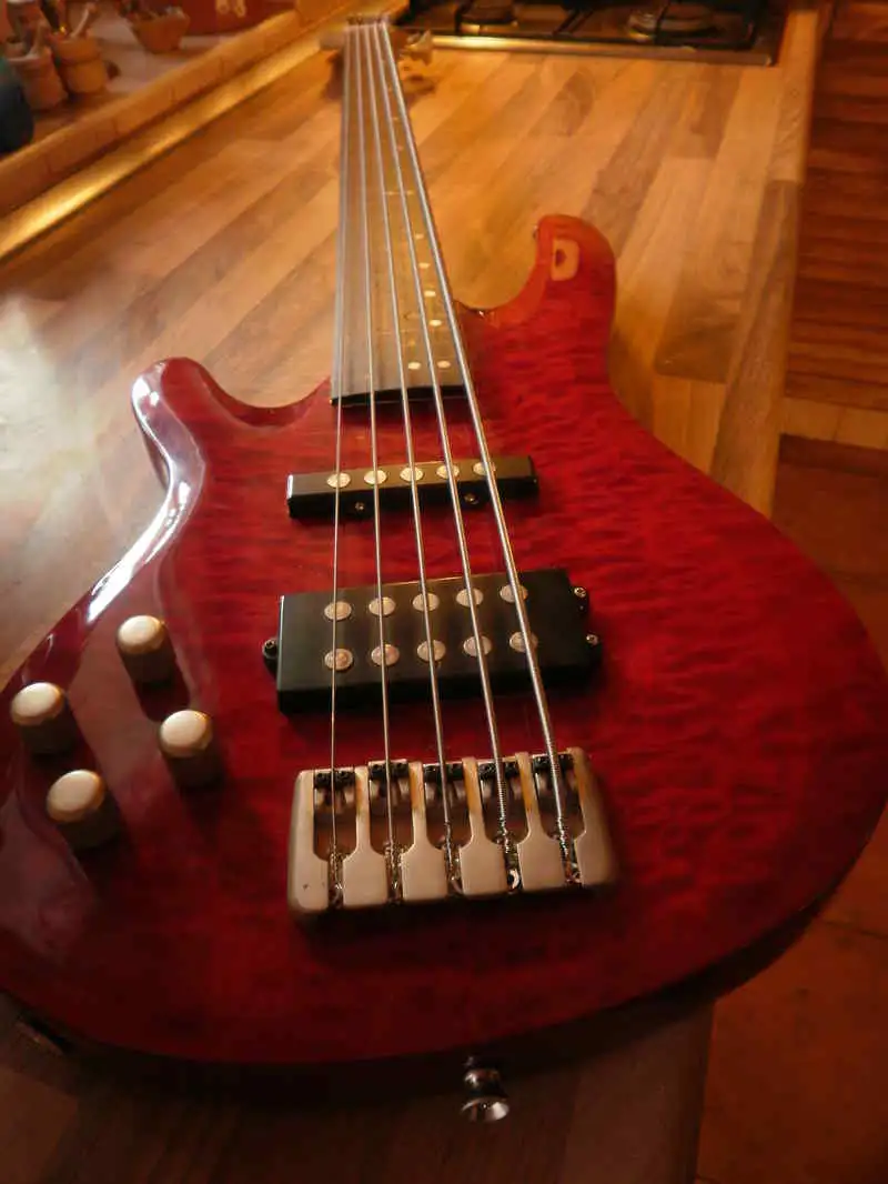 Balkezes Fretless Bass guitar 5 strings