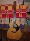 Maxwin 200 E Electro-acoustic guitar [March 18, 2011, 9:52 am]