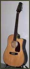 Steiner 12 húros western Electro-acoustic guitar [March 21, 2011, 2:32 pm]