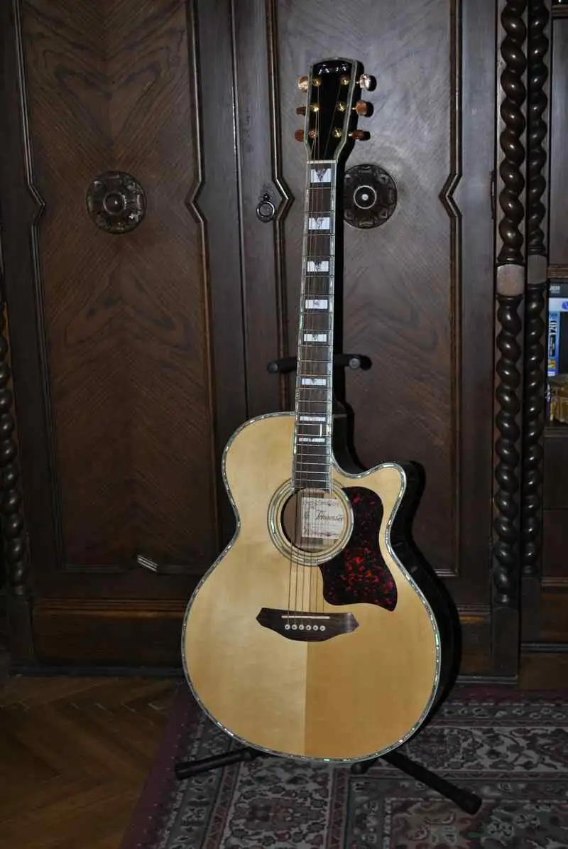   Elektroakustická gitara