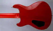 Fernandes APG-100 Electric guitar for sale | GS Fanatic