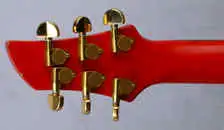 Fernandes APG-100 Electric guitar for sale | GS Fanatic