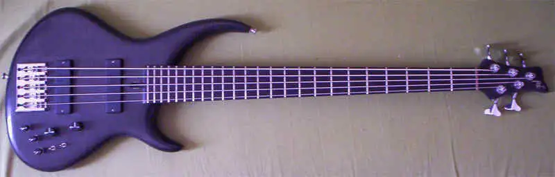 Ré Custom Bass guitar 5 strings