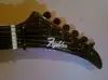 Fighter Professional  csere is E-Gitarre [December 5, 2011, 10:12 am]
