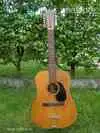 Landola V 69 Acoustic guitar 12 strings [February 16, 2012, 3:45 pm]