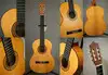 Vicente Sanchis Modell 31. Flamenco Gitarre [April 14, 2012, 1:29 pm]