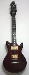 Westbury Standard Electric guitar [April 14, 2012, 4:03 pm]