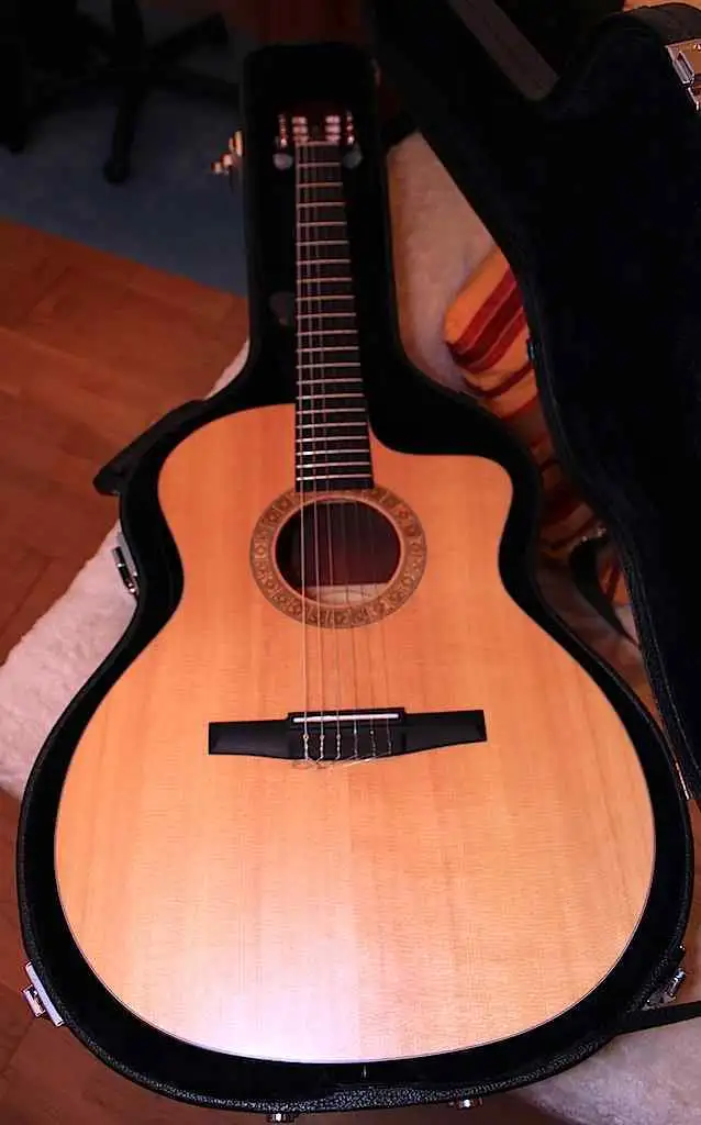 Taylor NS24CE Elektroakusztikus gitár