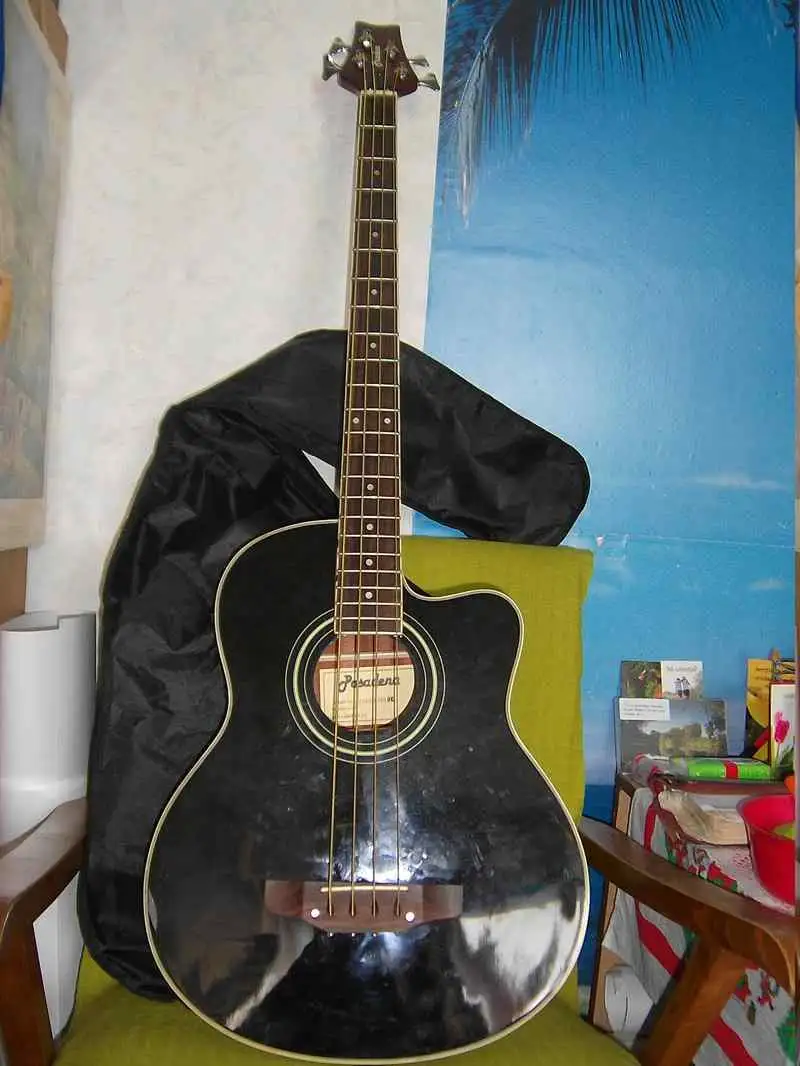 Pasadena FTAW-BASS BK  SX 15 WATT ERŐSÍTŐ Akustik-Bass