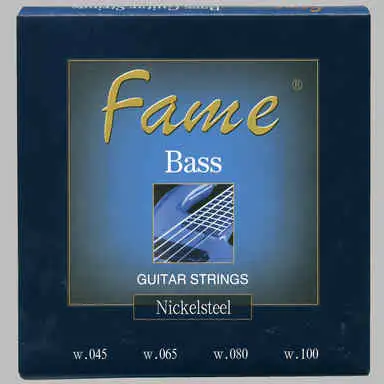 Music Store 4 String Bass Saitenset