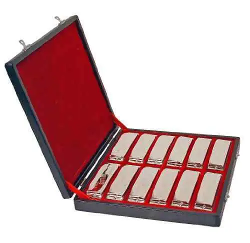  SWAN BLUES SW1020 SET NH13-429 Harmonica