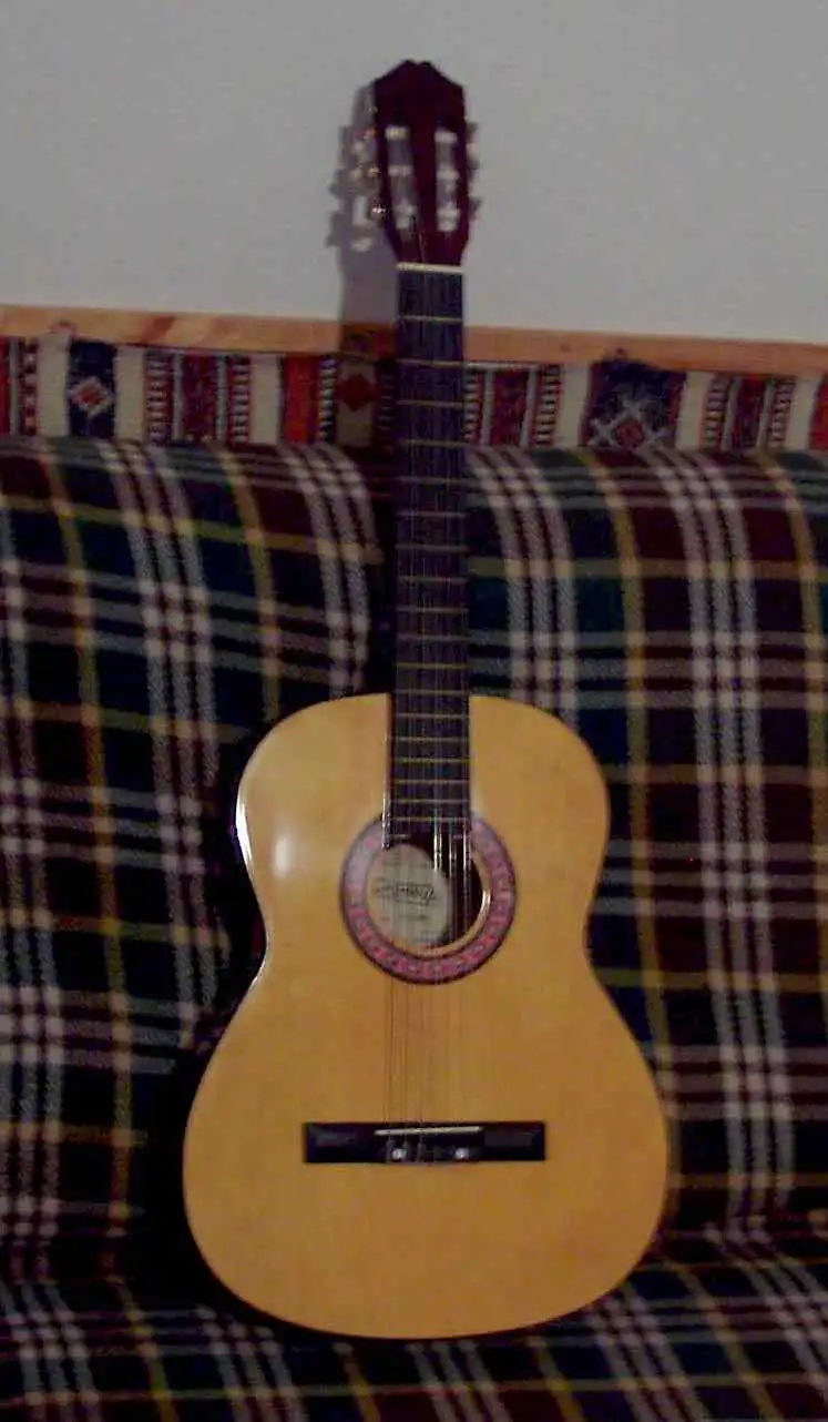  R-C395 Classic guitar