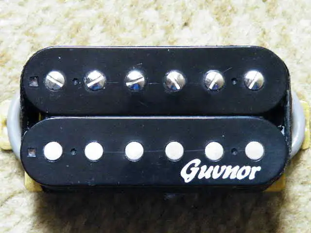 Guvnor GE500 Hangszedő