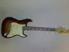 The Animal Strat Elektromos gitár [2012.12.16. 17:57]