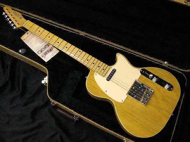  Bluesmaster II E-Gitarre