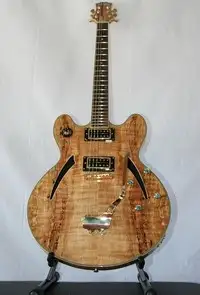 AcePro 2690 AH-712 Jazz guitar [September 6, 2019, 12:02 pm]
