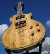 AcePro 2711 AE-604 Electric guitar [February 2, 2020, 6:38 pm]