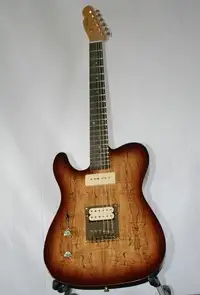 AcePro 2716 AE-204 LH Left handed electric guitar [September 6, 2019, 12:28 pm]