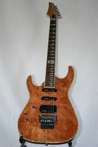 AcePro 2675 AE-309 L Left handed electric guitar [June 13, 2018, 12:20 pm]