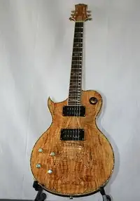 AcePro 2679 AE-604 L Left handed electric guitar [March 24, 2022, 12:14 pm]