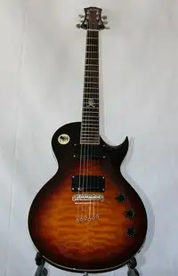 AcePro 2683 AE-608 Electric guitar [February 22, 2022, 10:34 am]