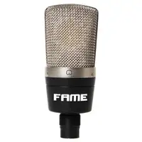 FAME Studio CM2 Kondansator Mikrofon [January 24, 2024, 2:46 pm]