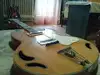 5U Szegedi Jazzgitár Elektro-Akkustik Guitarre [April 4, 2013, 10:11 am]