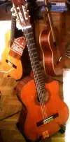 Gomez  Electro Acoustic klassische Gitarre [April 29, 2013, 9:20 am]