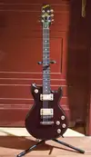 Westbury Standard Electric guitar [May 12, 2013, 8:25 am]