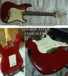 The Animal Stratocaster Elektromos gitár [2013.06.26. 15:36]