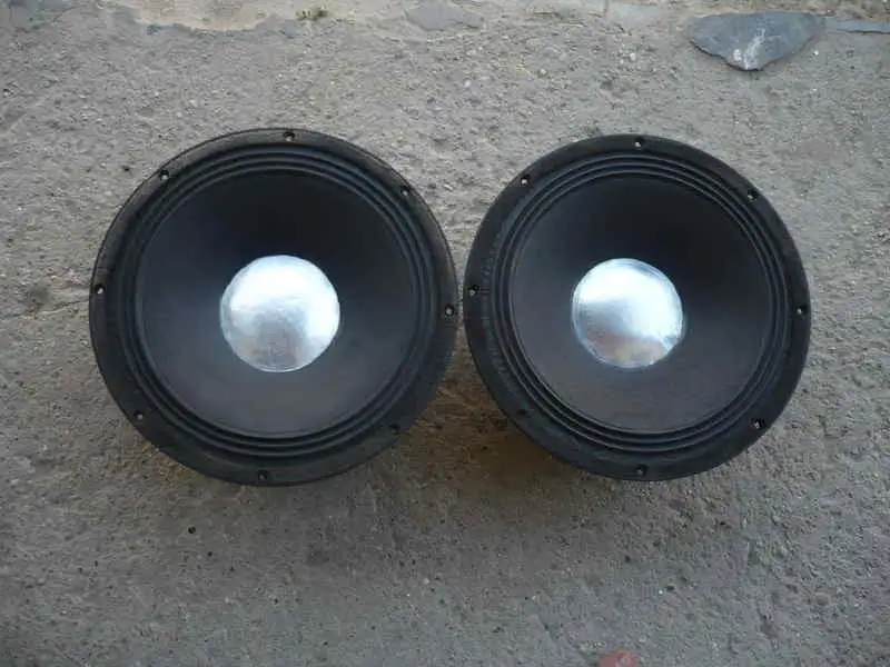 Reflex R 300 12 Speaker