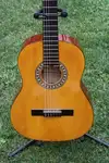Toledo CG100 Guitarra clásica [July 30, 2013, 5:24 pm]