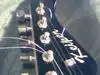 Keiper Powerstrat Floyd Veiger Electric guitar [October 23, 2013, 7:28 pm]