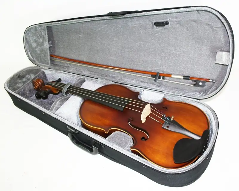  3210 Viola