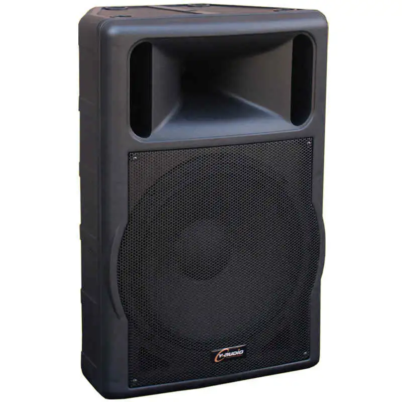 FS Audio 12N Pro Hangfal