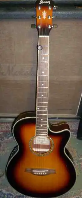 Ibanez AEG 10VS 1202 Guitarra electroacústica